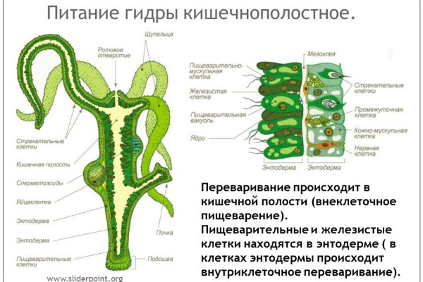 Кракен зеркало орион