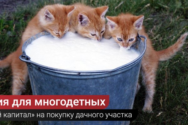 Кракен браузер ссылка