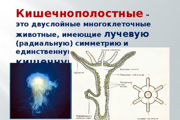 Kra48.cc Вход на сайт главная страница