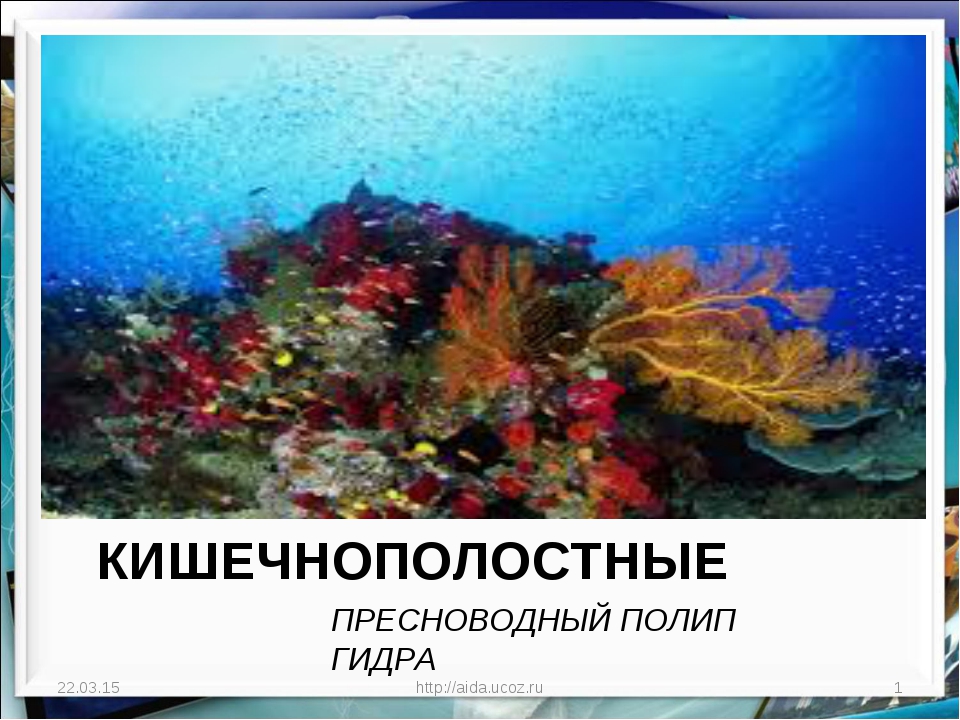 Kraken адрес onion