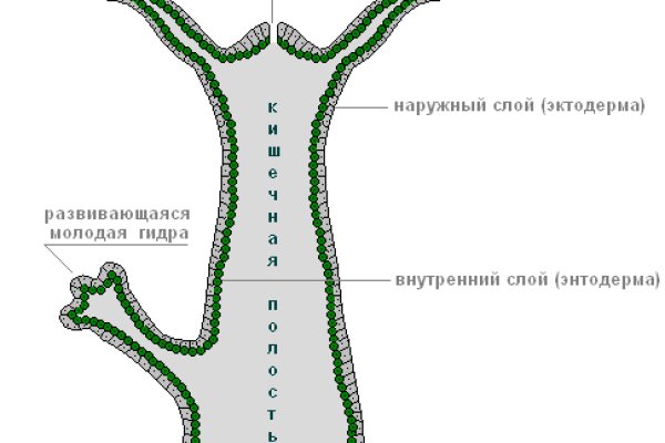 Кракен найти сайт