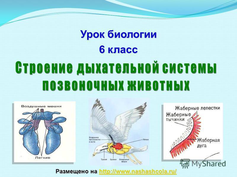 Как выйти на кракен